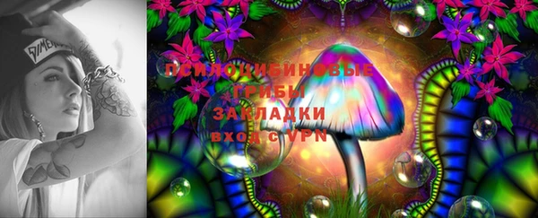бошки Алексин