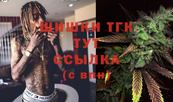 бошки Алексин