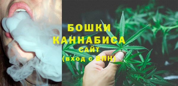 бошки Алексин