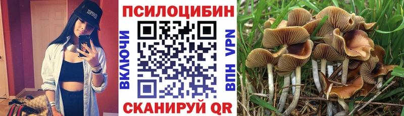 Псилоцибиновые грибы мухоморы Старый Оскол