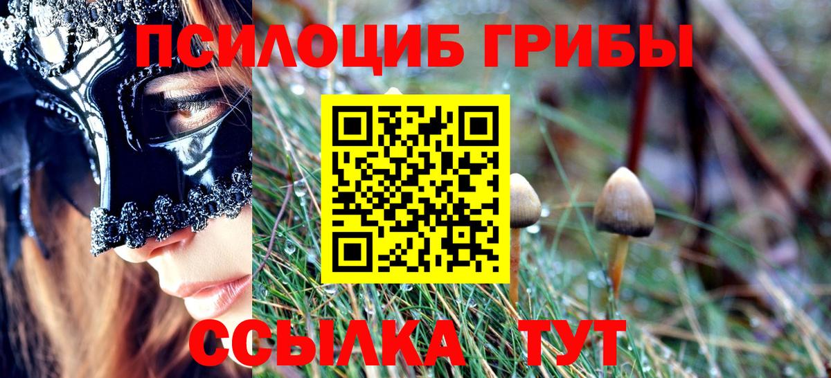 Галлюциногенные грибы мухоморы Старый Оскол